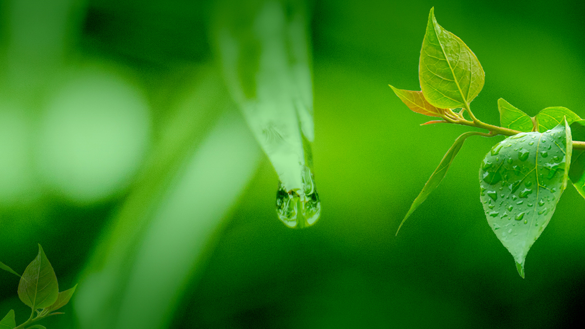 西安恒瑞康生物科技有限公司